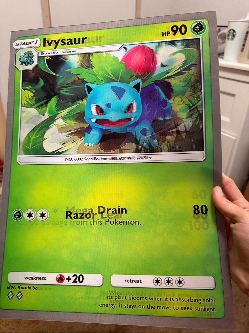 Pokemon Ivysaur Venusaur, Bulbasaur, Venusaur Ex 3D Holographic Poster